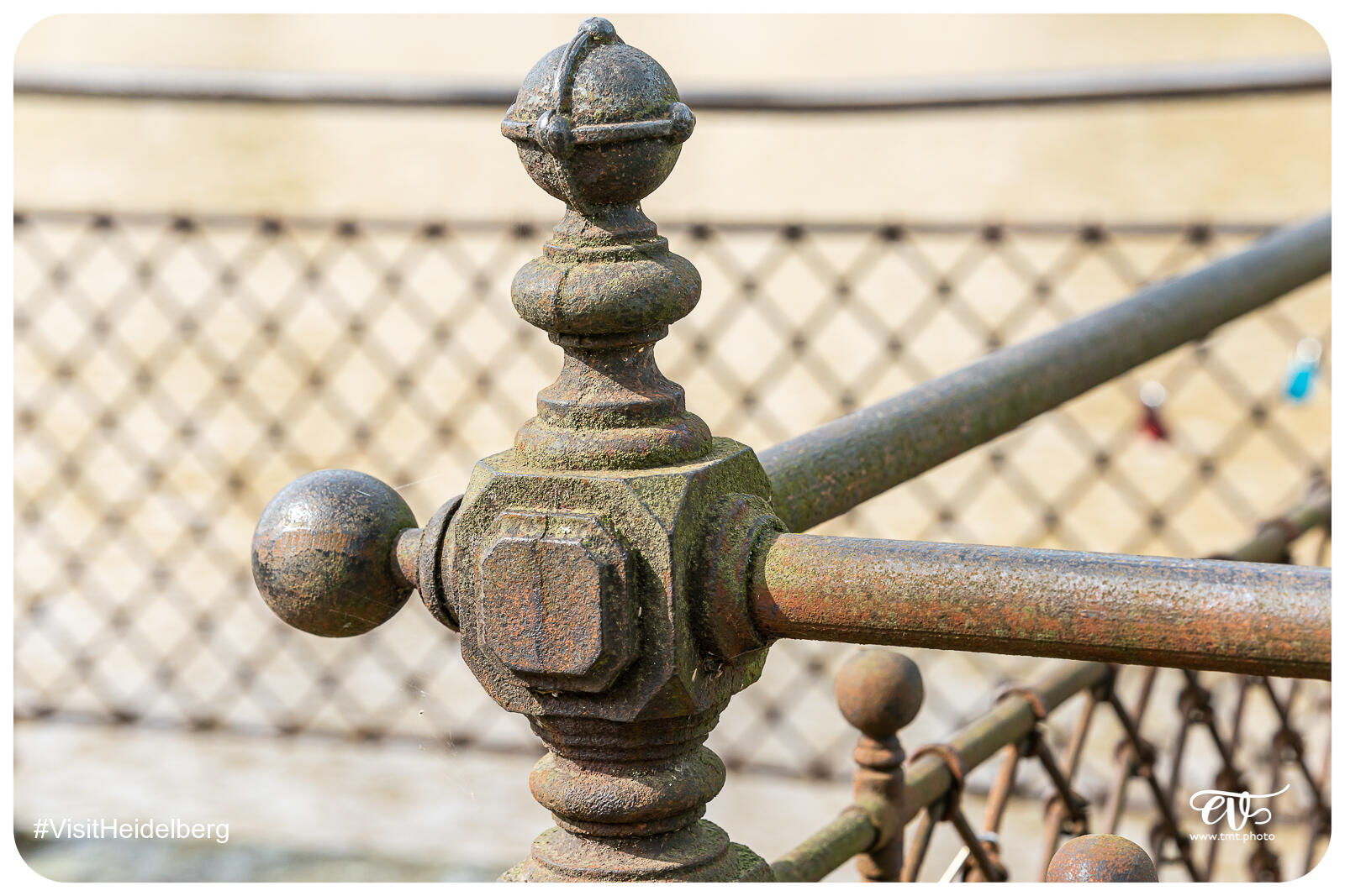 TMTPHOTO VISITHEIDELBERG 186