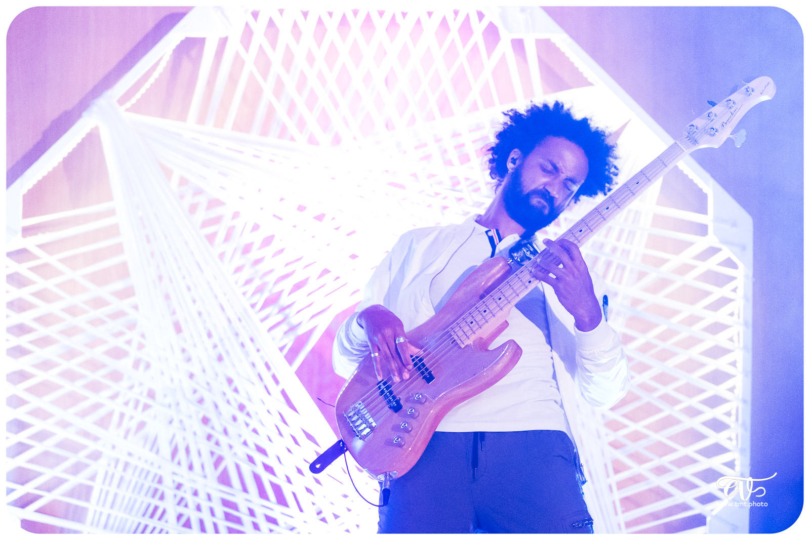 ZIMMIA (RELEASE PARTY ODYSSEY II)