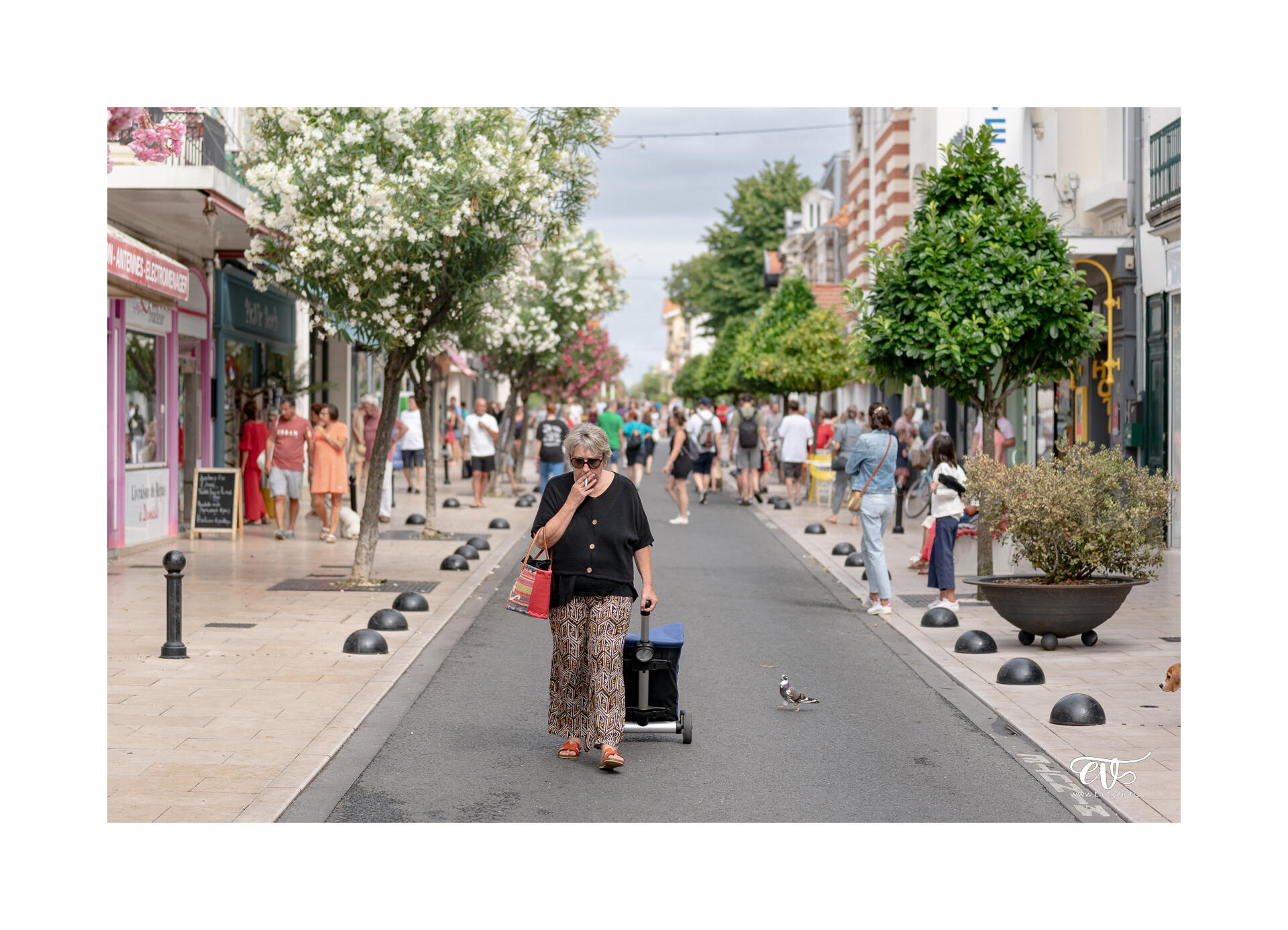 CARNET DE VOYAGES : BORDEAUX, ARCACHON