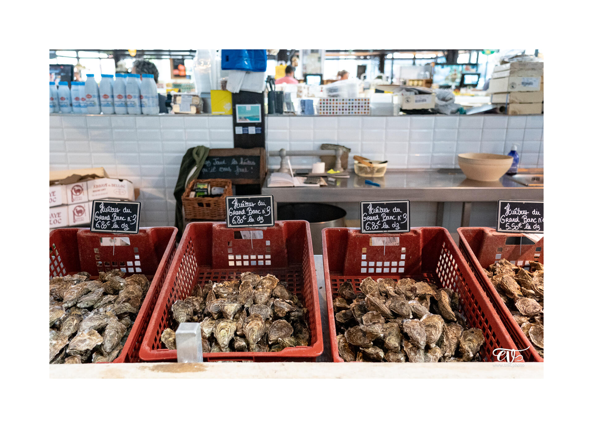 CARNET DE VOYAGES : BORDEAUX, ARCACHON