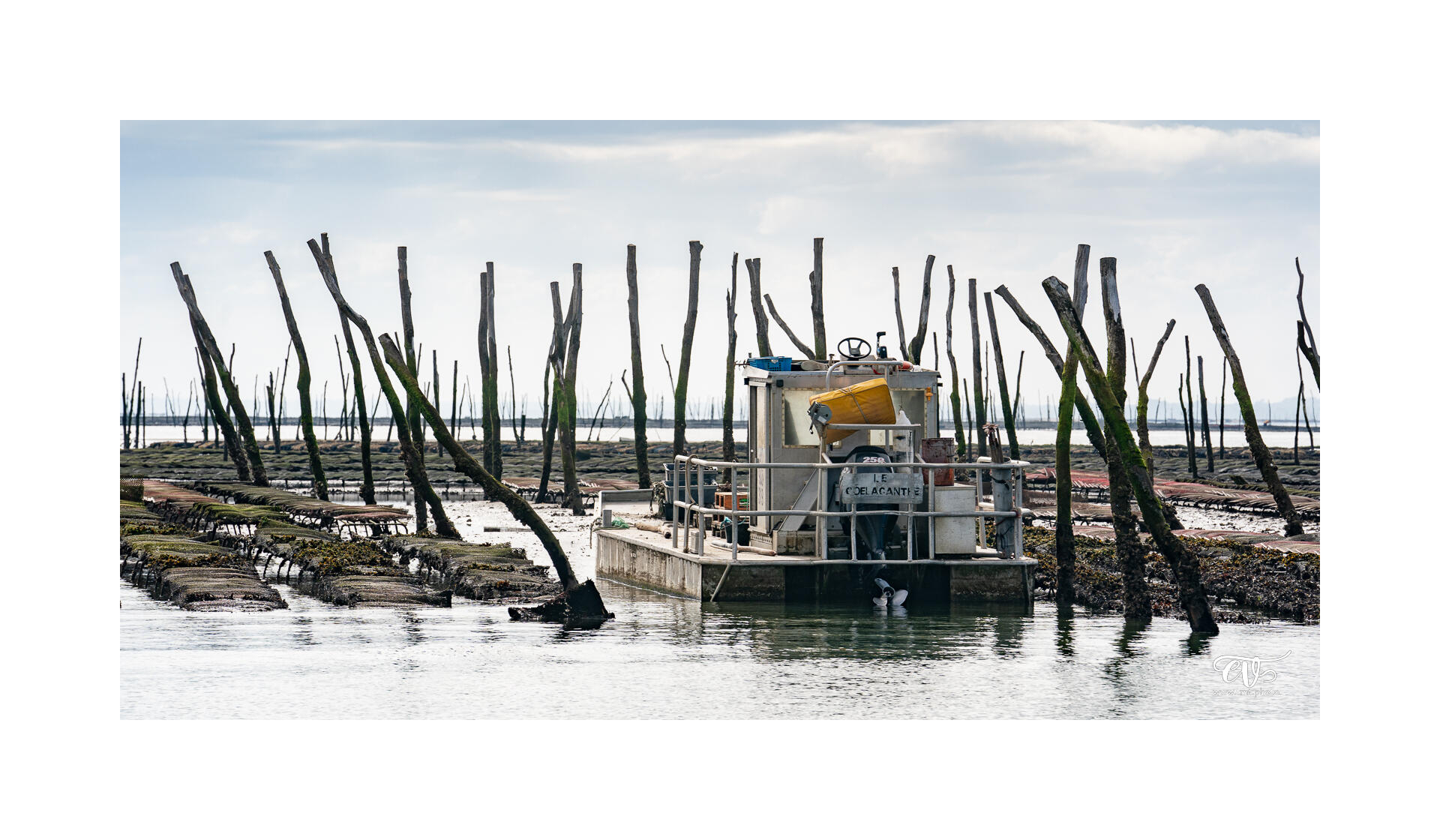 CARNET DE VOYAGES : BORDEAUX, ARCACHON