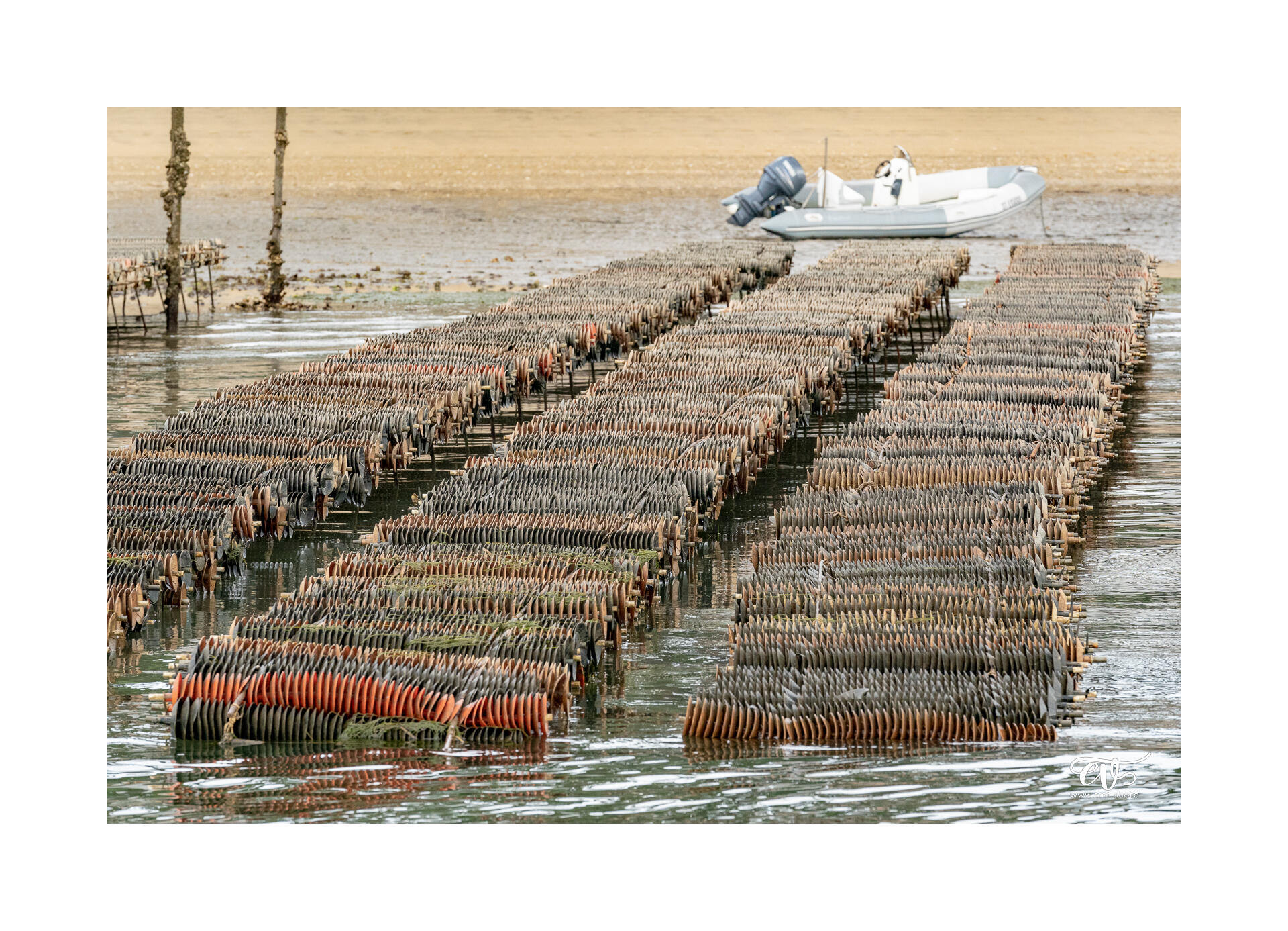 CARNET DE VOYAGES : BORDEAUX, ARCACHON