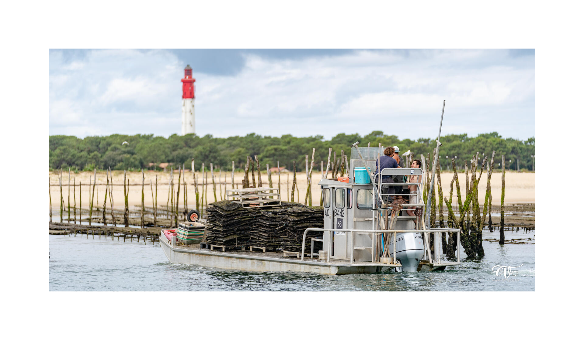 CARNET DE VOYAGES : BORDEAUX, ARCACHON