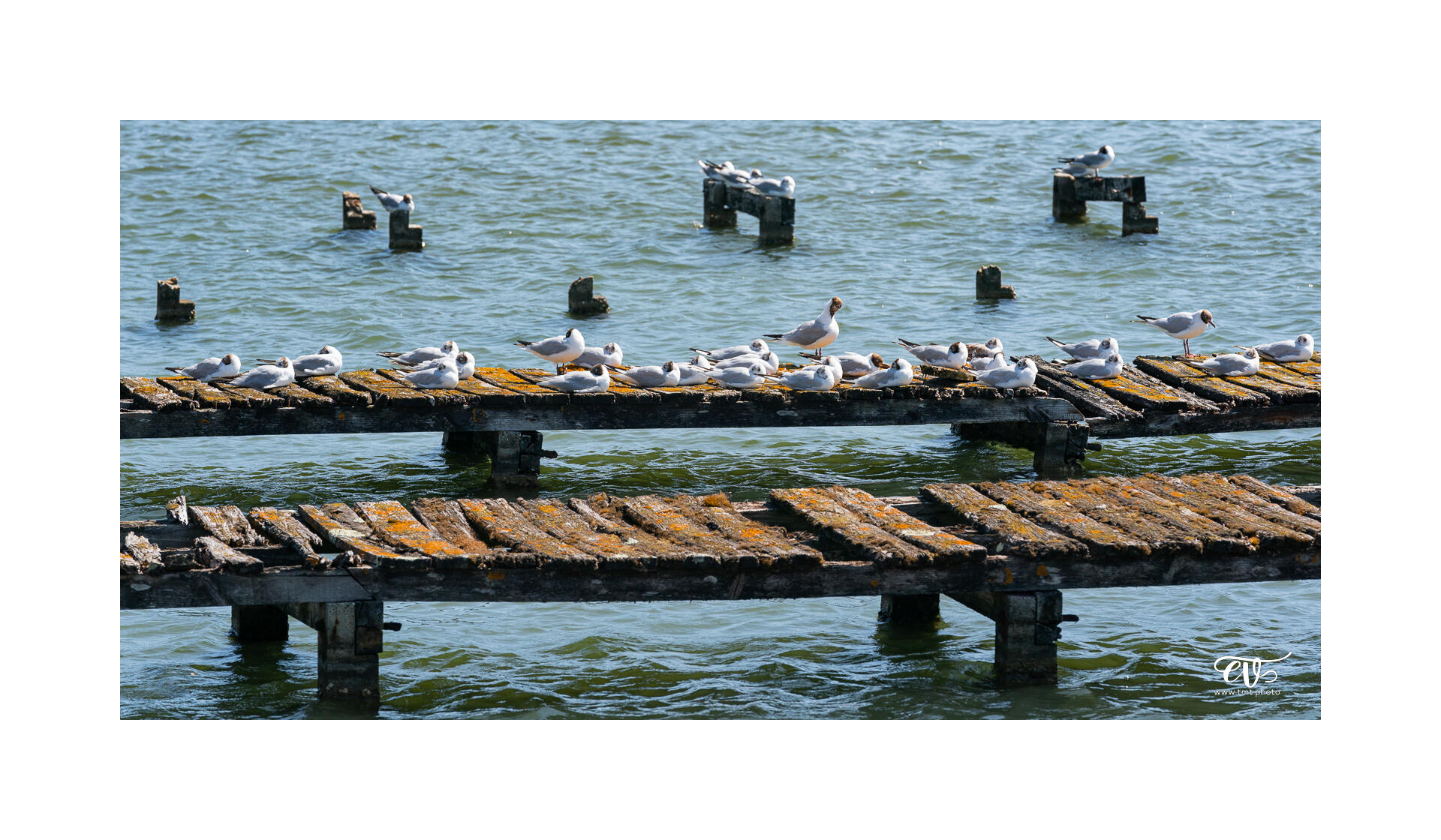 CARNET DE VOYAGES : BORDEAUX, ARCACHON