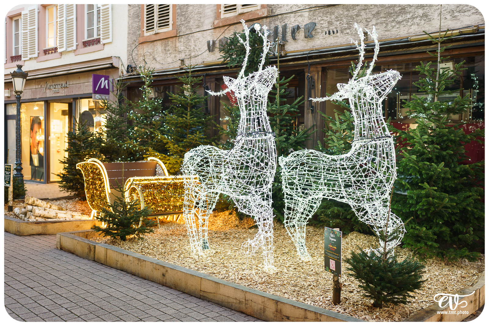 TMTPHOTO HAGUENOËL2024 038