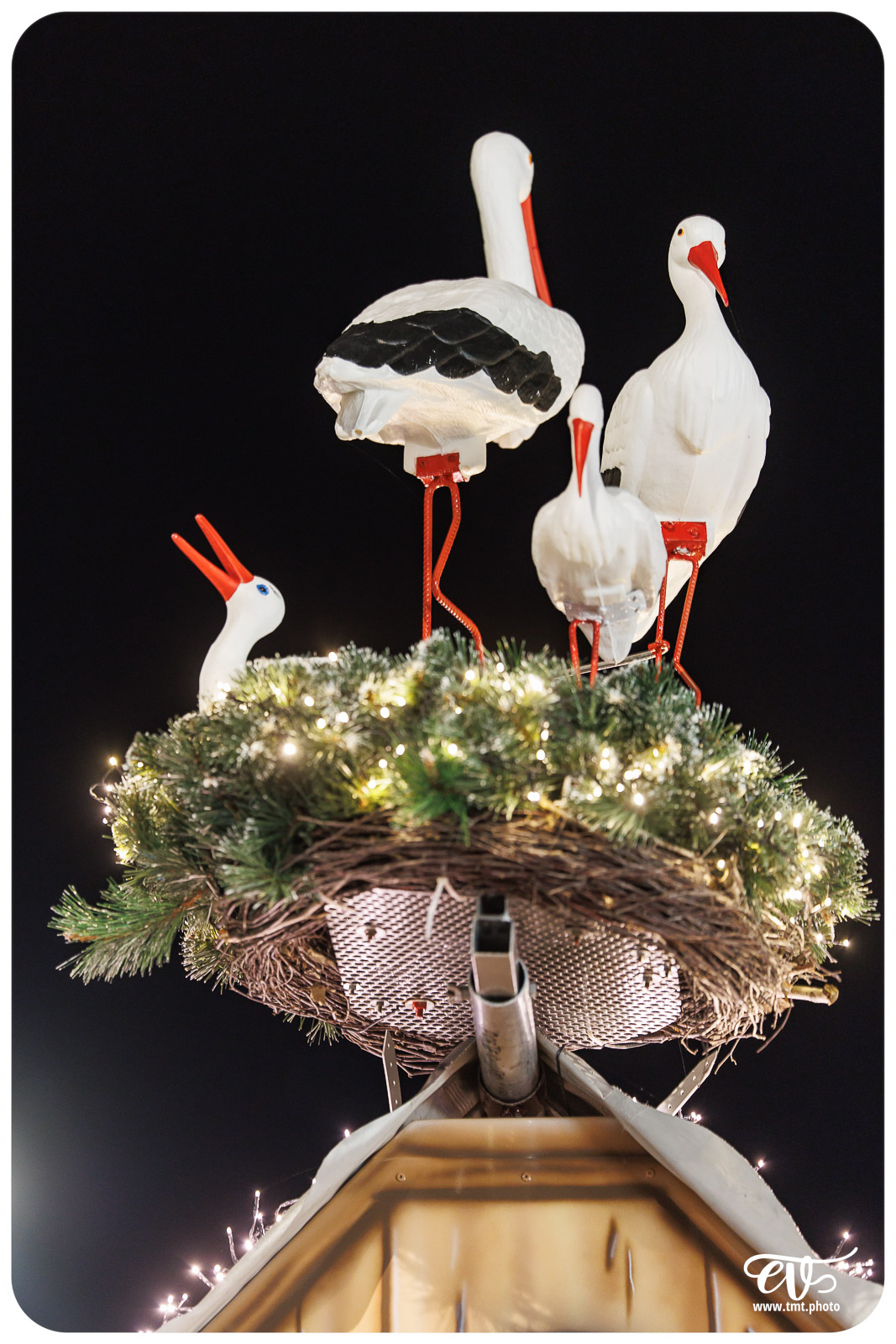 TMTPHOTO HAGUENOËL2024 092